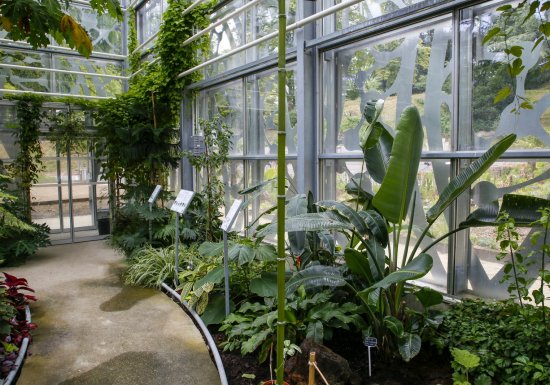 La Serre du jardin botanique