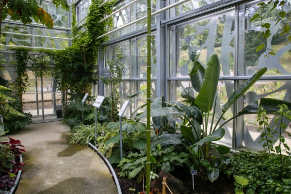 La Serre du jardin botanique