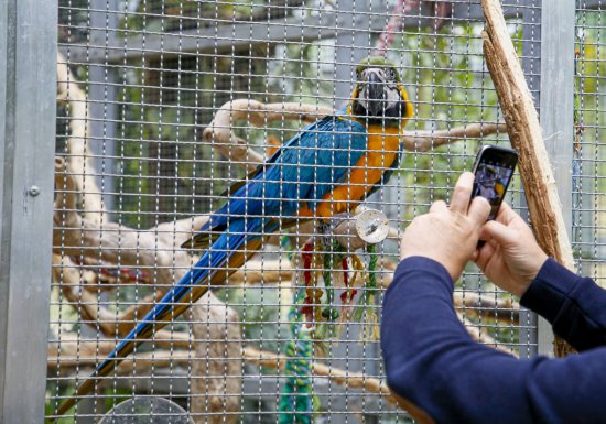 La Serre du jardin botanique