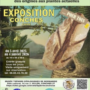 La Pierre conchoise Raconte-moi les plantes, des origines aux plantes actuelles, du 05.04.25 au 04.01.26