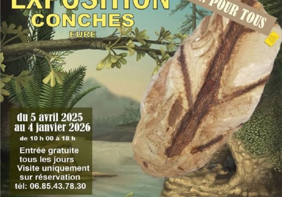 Raconte-moi les plantes, des origines aux plantes actuelles, du 05.04.25 au 04.01.26