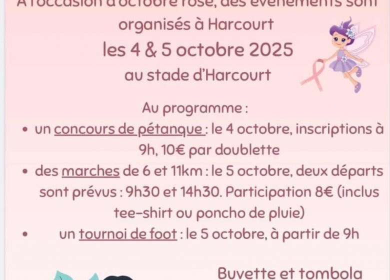 Les fées Rose : Marches et tournoi de foot