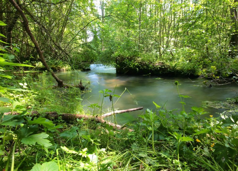Espace Naturel Départemental : La résurgence du Guiel
