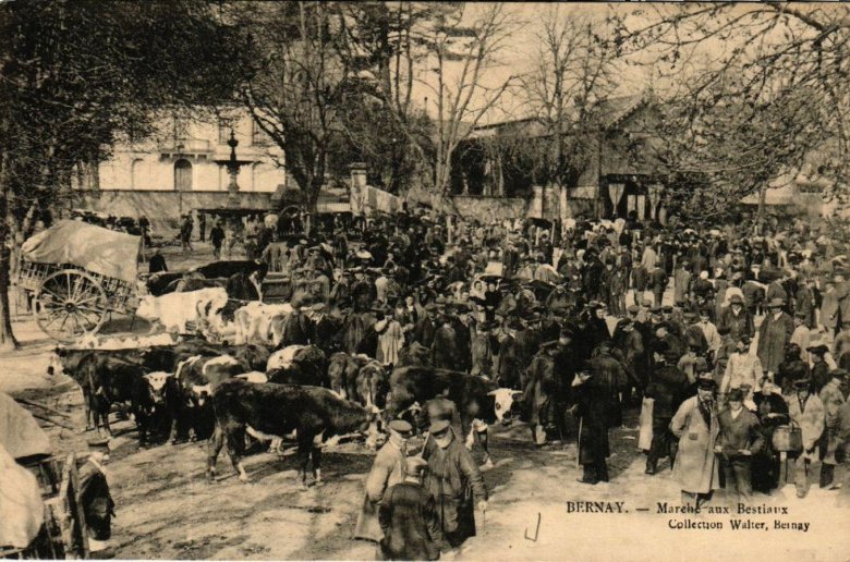 Visite guidée « Les 1000 ans du marché de Bernay »
