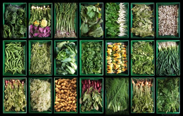 Ferme biologique du Bec-Hellouin