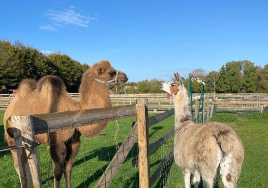 La ferme de Saint-Cyr