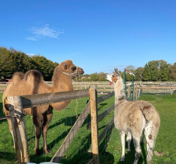 La ferme de Saint-Cyr