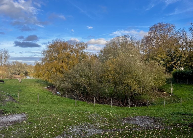 Le Pigeonnier – Duplex 4 personnes, Domaine de Tourny – Normandie