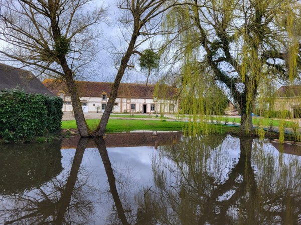 Chambre d&rsquo;hôtes – Le Haras d&rsquo;Agathe et ses princes