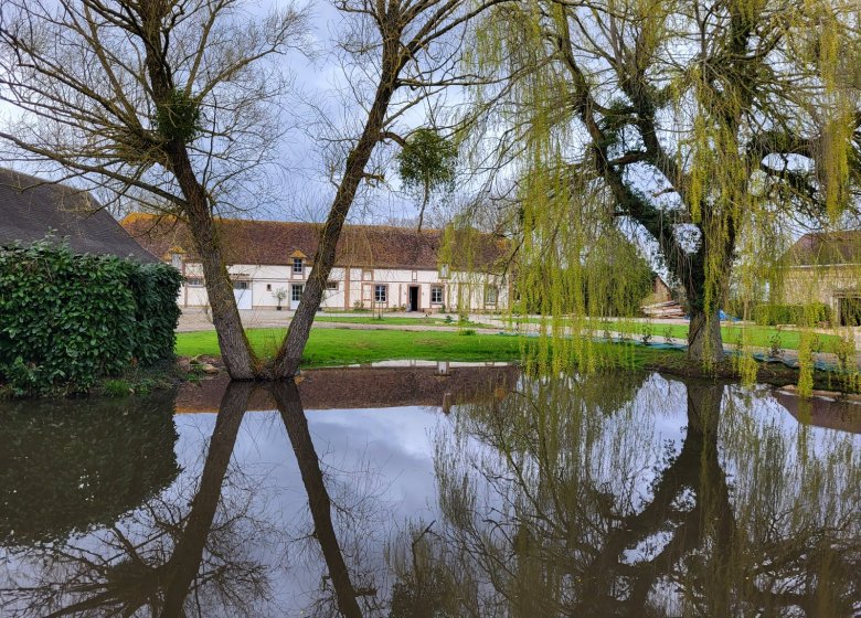Chambre d&rsquo;hôtes – Le Haras d&rsquo;Agathe et ses princes
