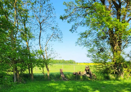 Gîte – Le Haras d’Agathe et ses princes