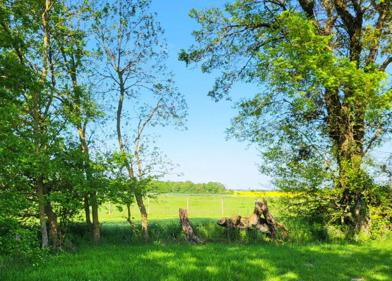 Gîte – Le Haras d’Agathe et ses princes