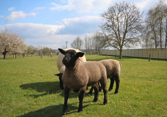 GITE MA NORMANDIE 27