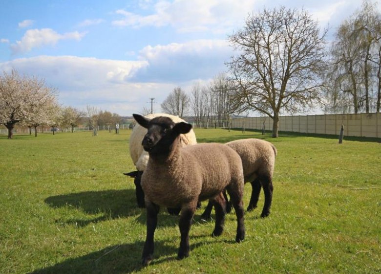 GITE MA NORMANDIE 27