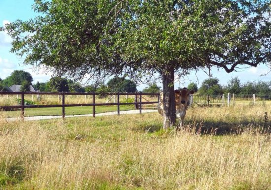 Gîte LA FERME DU PEROIR