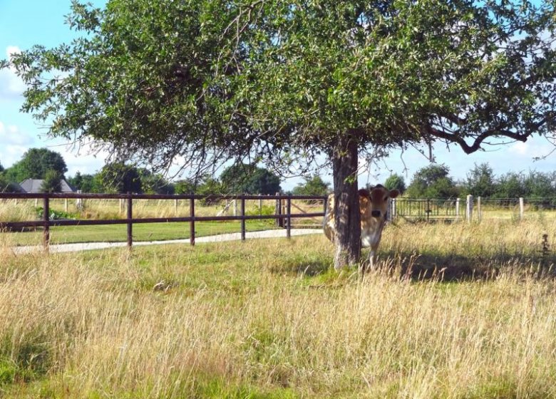 Gîte LA FERME DU PEROIR