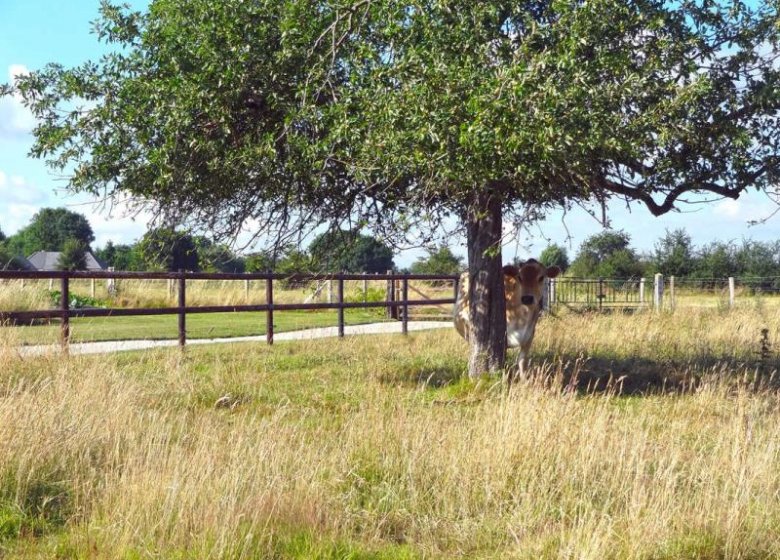 Gîte LA FERME DU PEROIR