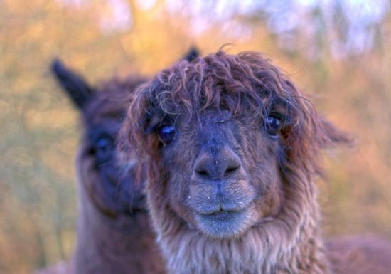 ETREVILLE GITE DES MONTS DE CAUX