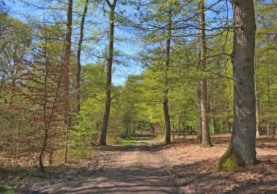 Gîte LE PAVILLON DU GRAND VENEUR