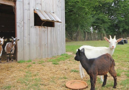 Gîte LA ROULOTTE DU PRESSOIR DE GISAY