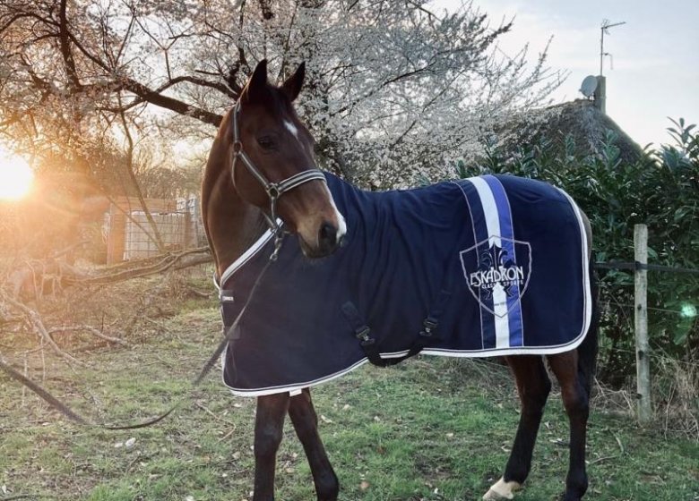 Gîte Le gîte du ranch