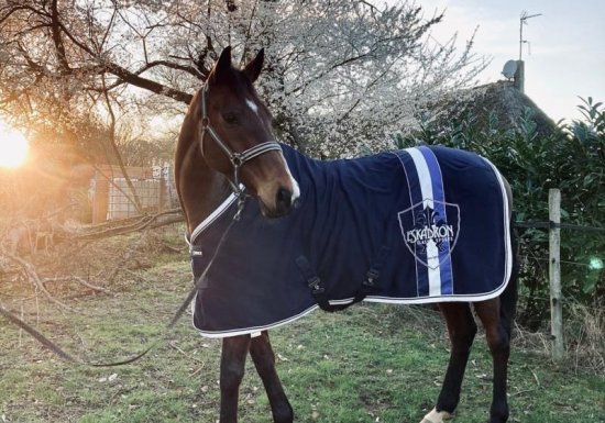 Gîte Le gîte du ranch