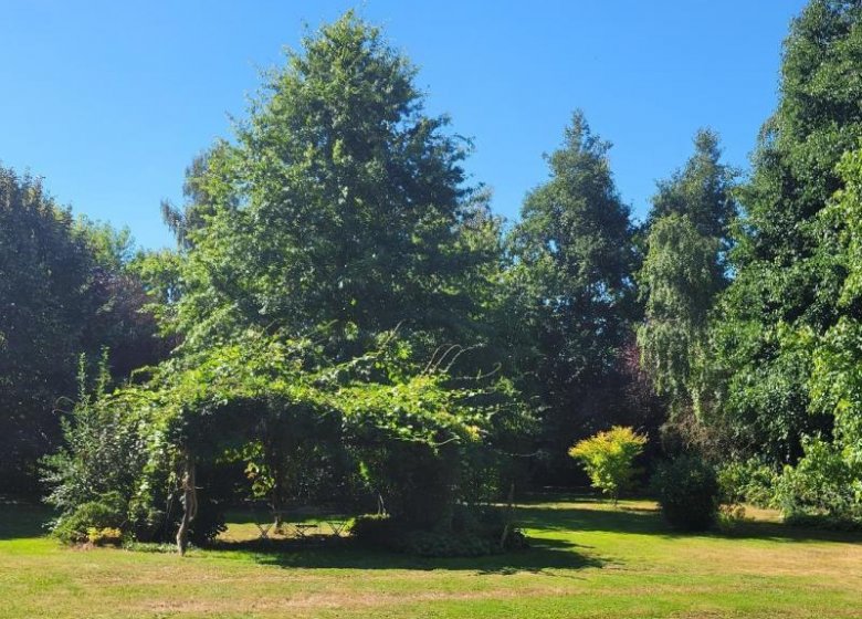 Gîte Les gîtes de la Charretterie – Papillon