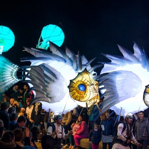 Déambulation nocturne : L’envol