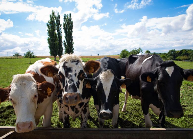 La Ferme des Peupliers