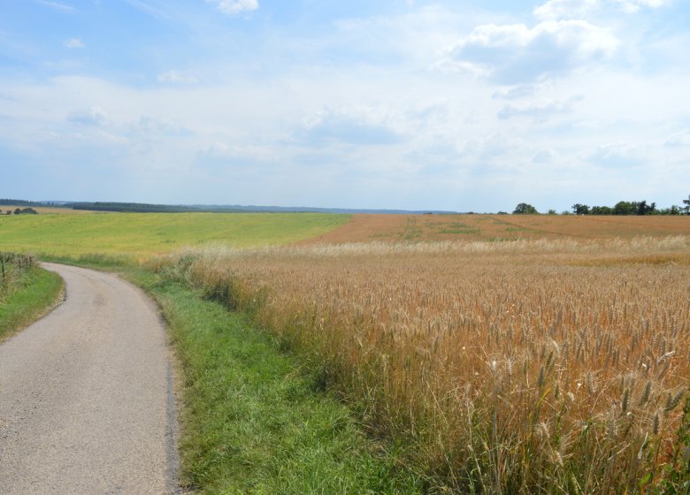 Autour de connelles