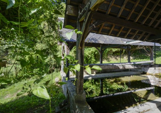 A la rencontre des lavoirs