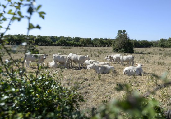 Autour du lac de Venables