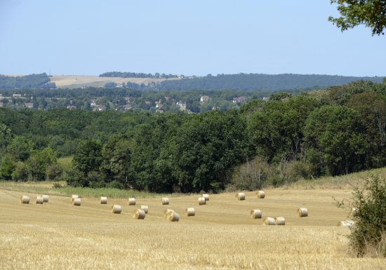 Les bords de Seine à Venables