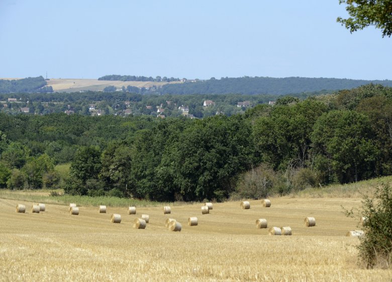 Les bords de Seine à Venables