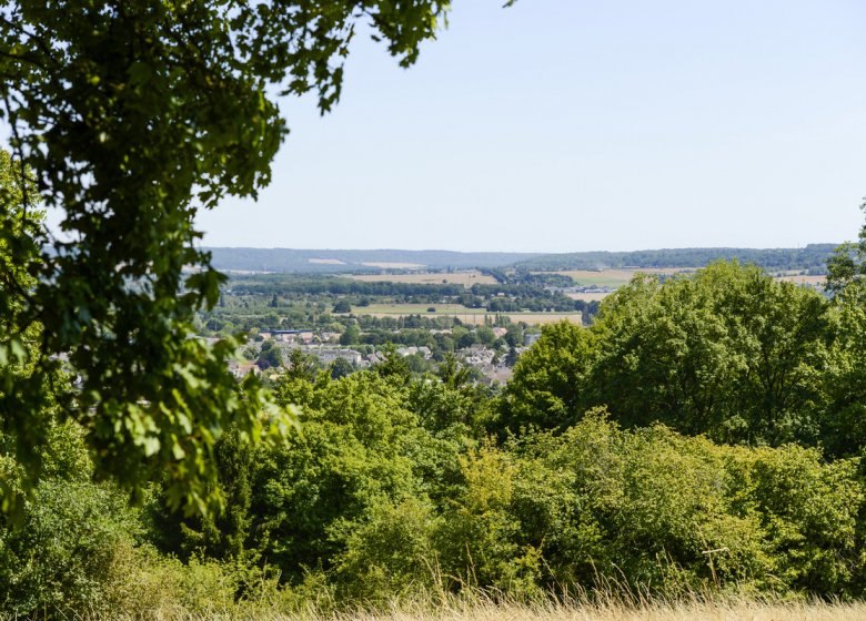 La porte aux chiens