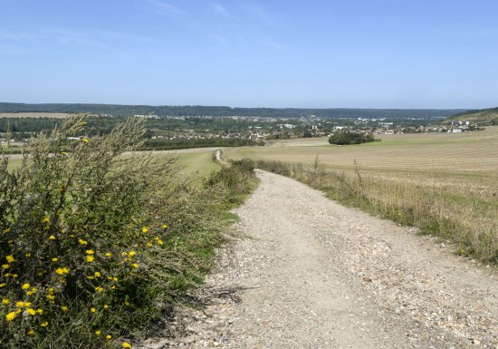 Pinterville : histoire et nature