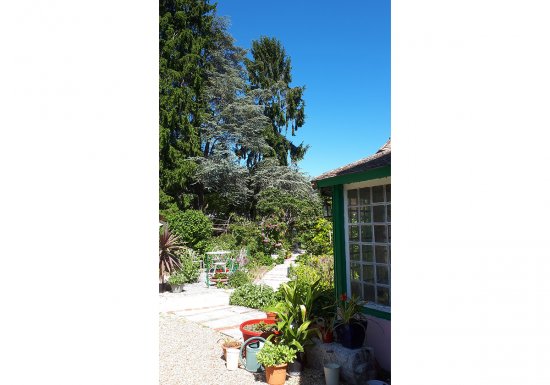 ©guy rené corail Chambre d’hôtes Le Jardin des Merveilles