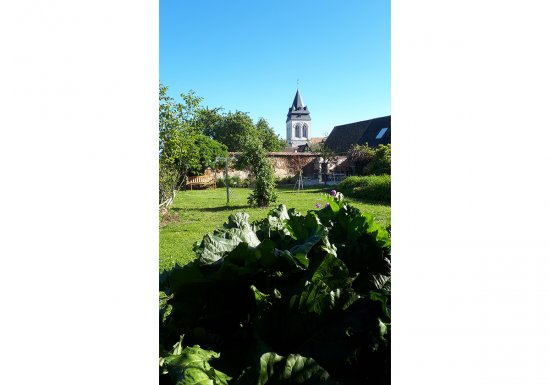 ©guy rené corail Chambre d’hôtes Le Jardin des Merveilles