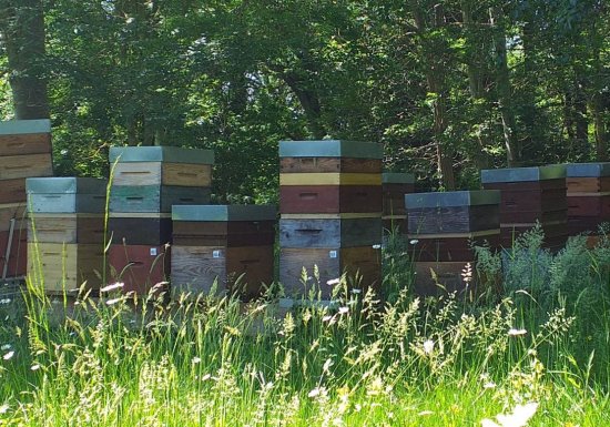 Ruchers Vernon Giverny