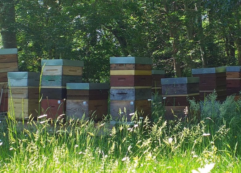 Ruchers Vernon Giverny