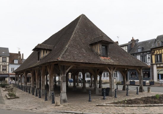 Cinéma : A la rencontre de Madame Bovary