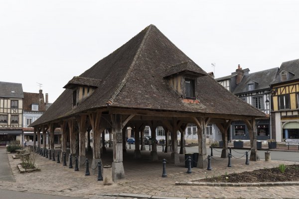 Cinéma : A la rencontre de Madame Bovary