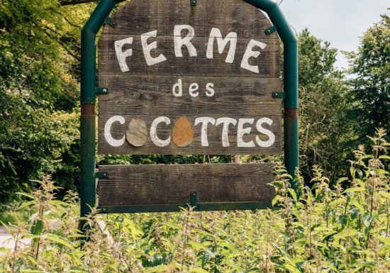 Visite de la ferme des cocottes