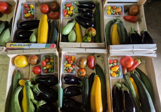 La P’tite ferme de Condé