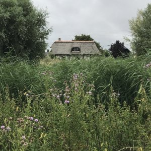 Rallye nature à Berville-sur-mer