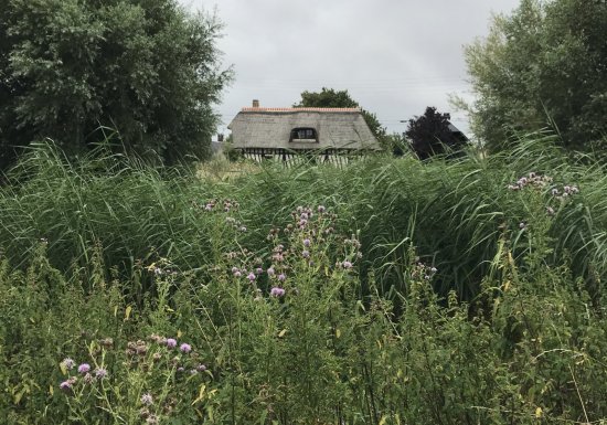Rallye nature à Berville-sur-mer