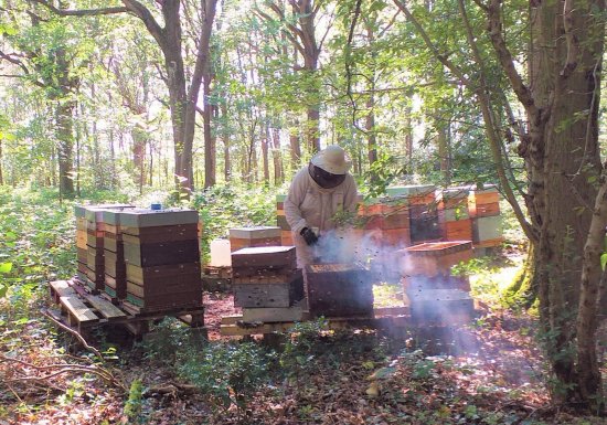 Ruchers Vernon Giverny