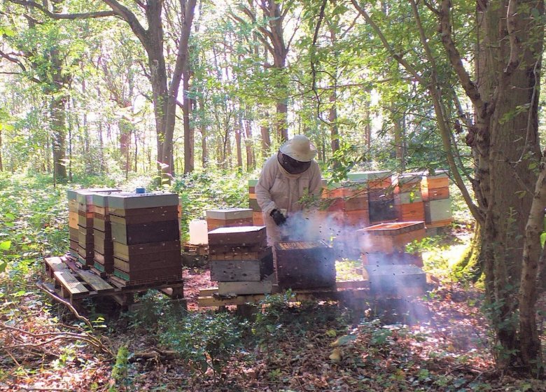 Ruchers Vernon Giverny