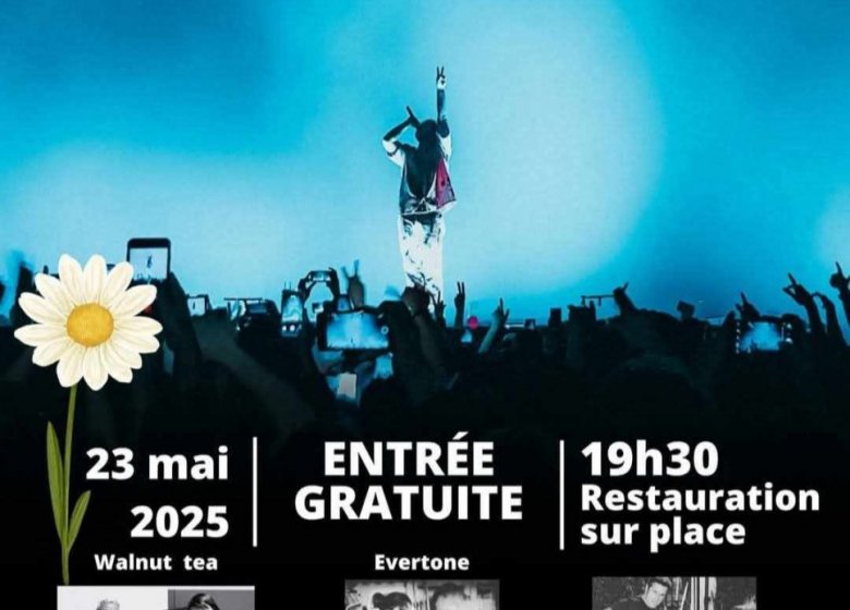 Concert