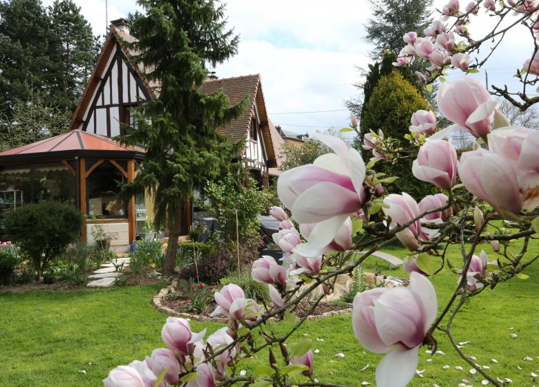 Nigelles entre Risle et Abbayes